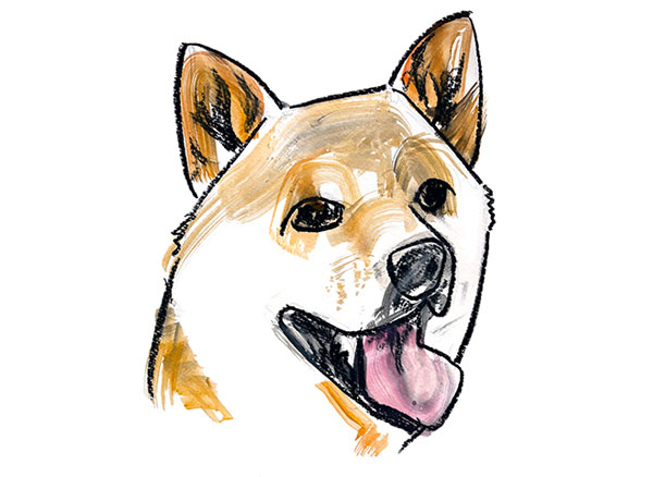 愛犬の似顔絵のイメージ写真