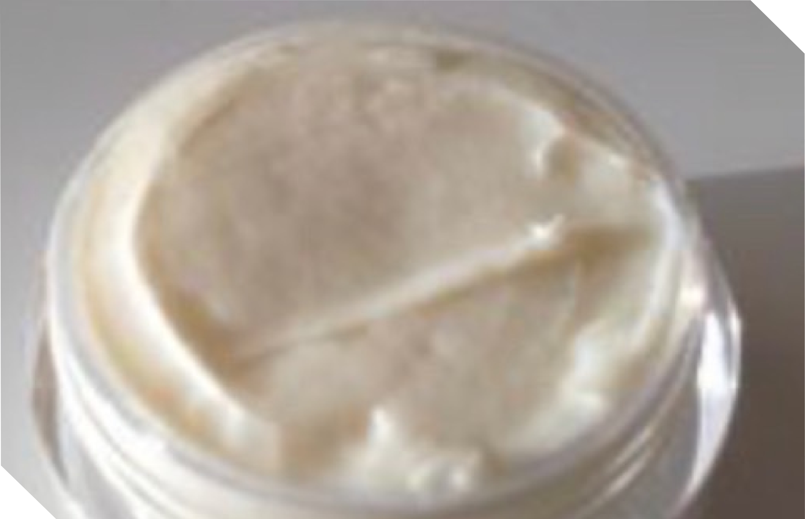 肉球クリームづくり