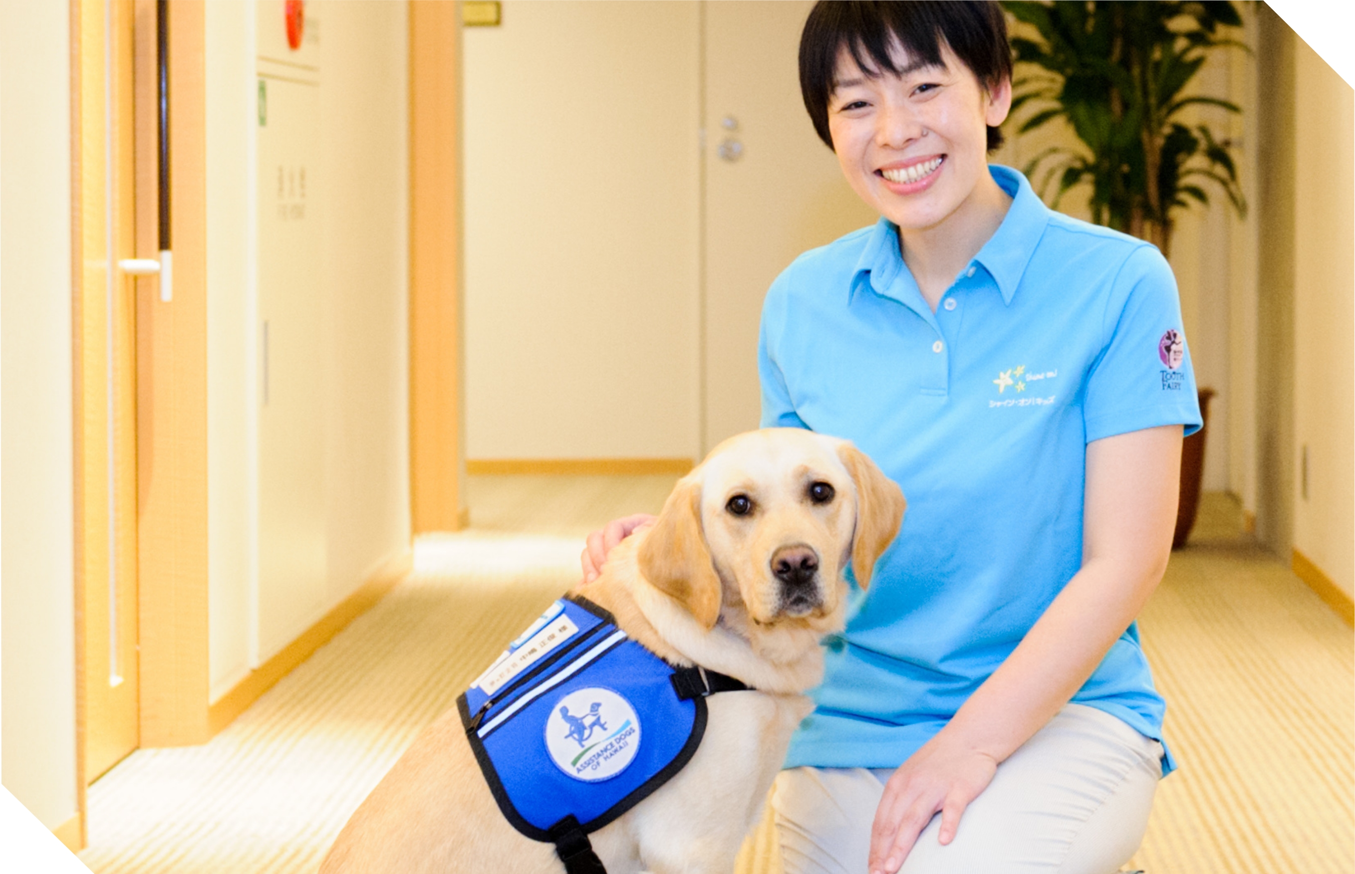 愛犬のしつけ教室&ゲーム